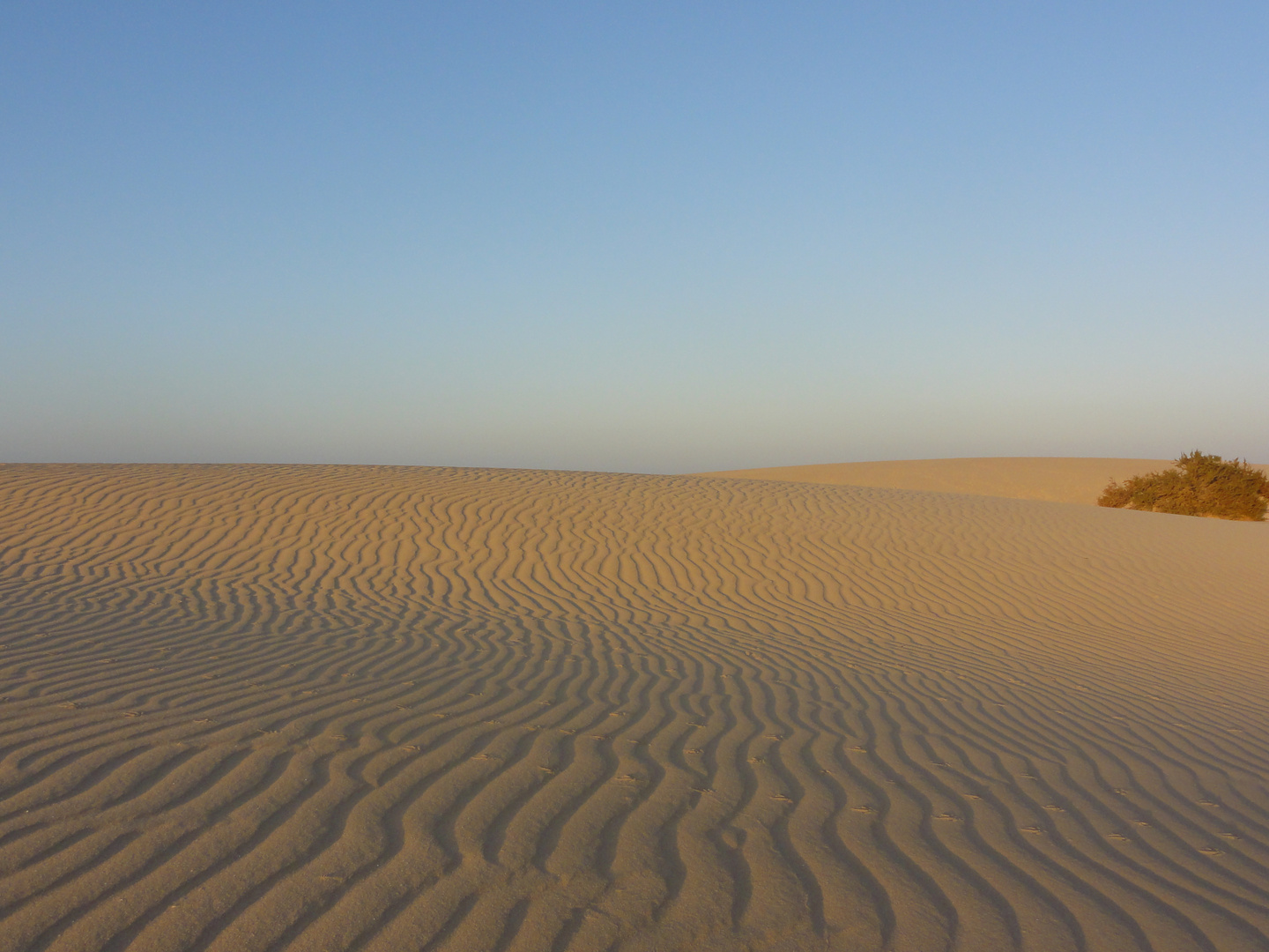 Fuerteventura