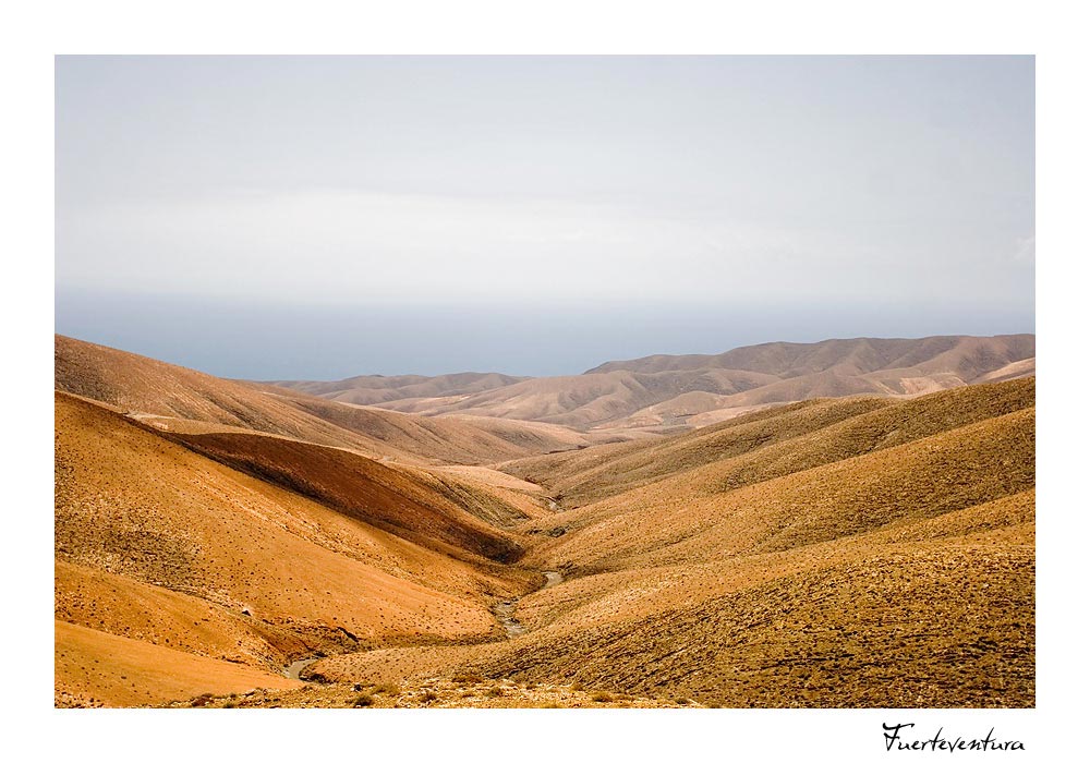 ... Fuerteventura