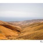 ... Fuerteventura