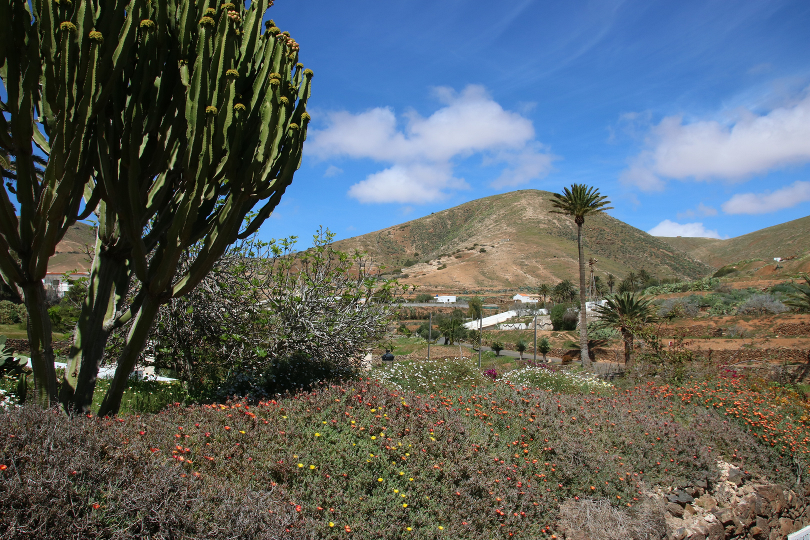 Fuerteventura