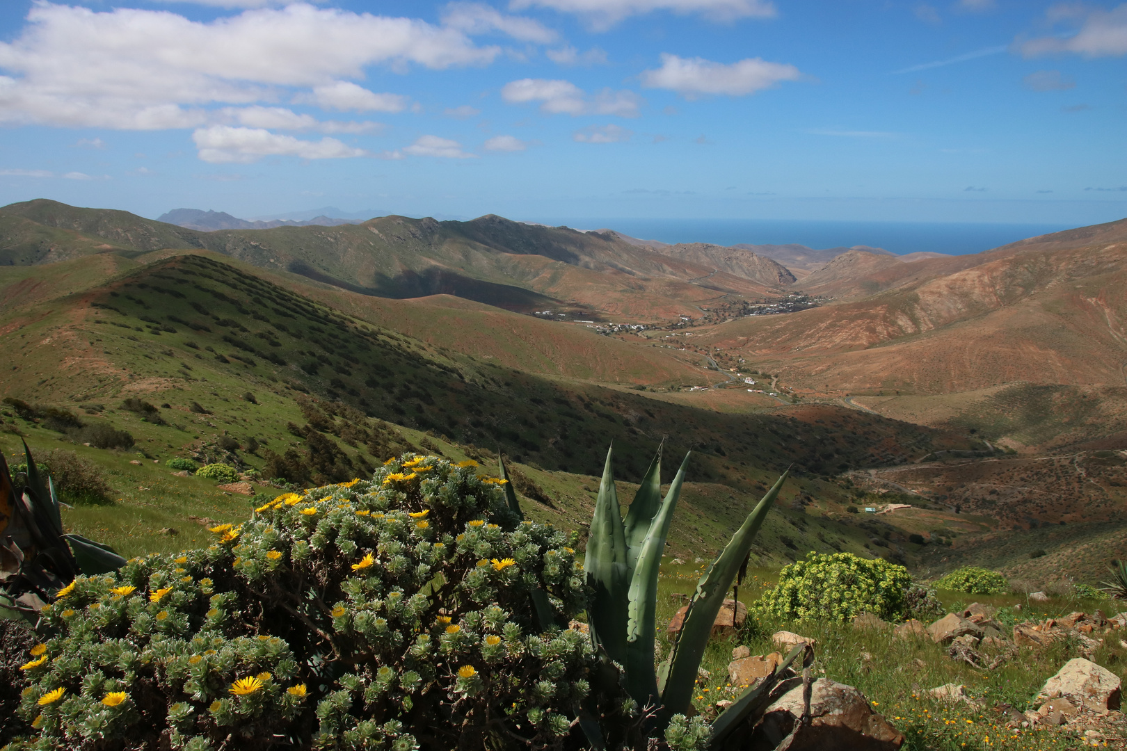 Fuerteventura