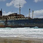 Fuerteventura, American Star