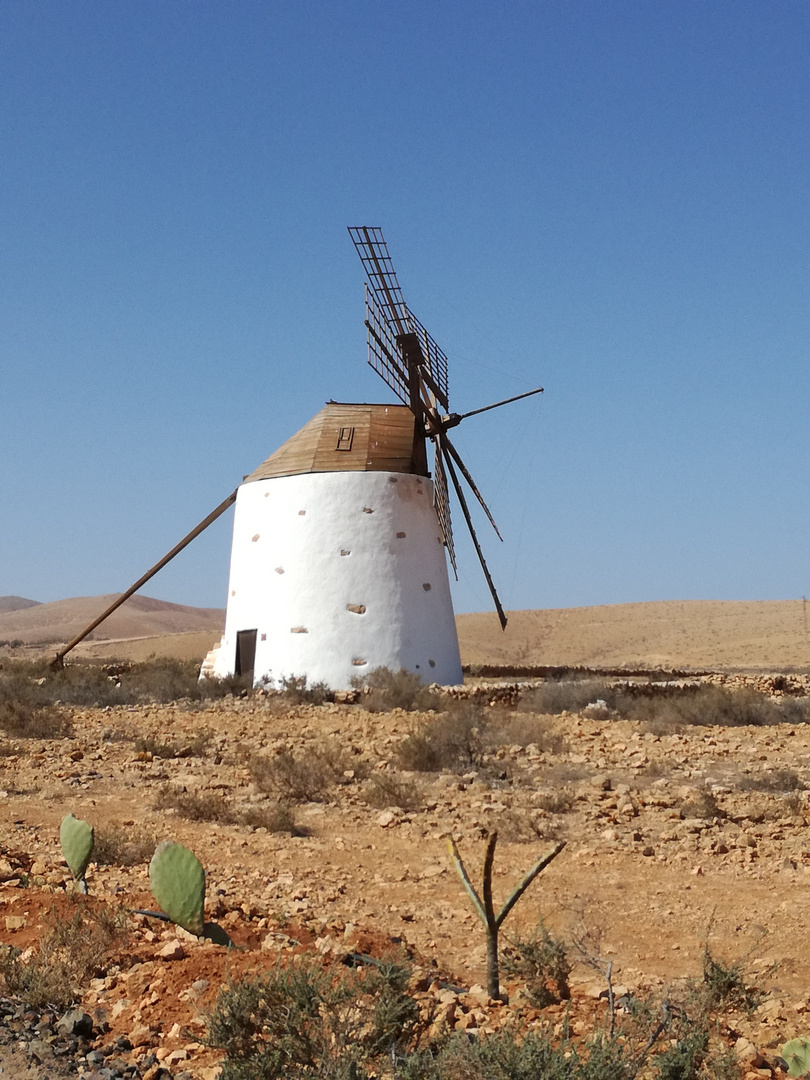 Fuerteventura, au hasard de nos pas ....