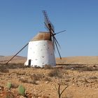 Fuerteventura, au hasard de nos pas ....