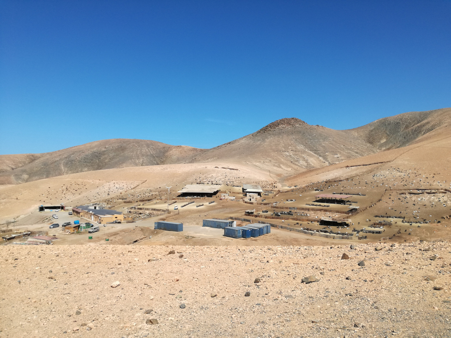 Fuerteventura, au hasard de nos pas ....