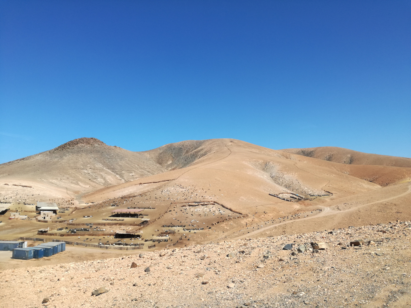 Fuerteventura, au hasard de nos pas ....