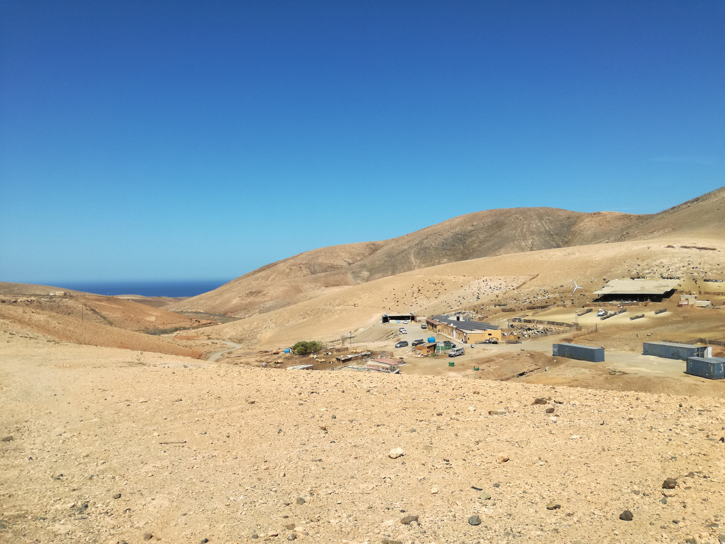 Fuerteventura, au hasard de nos pas ....