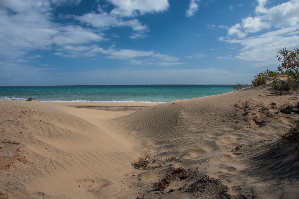 Fuerteventura