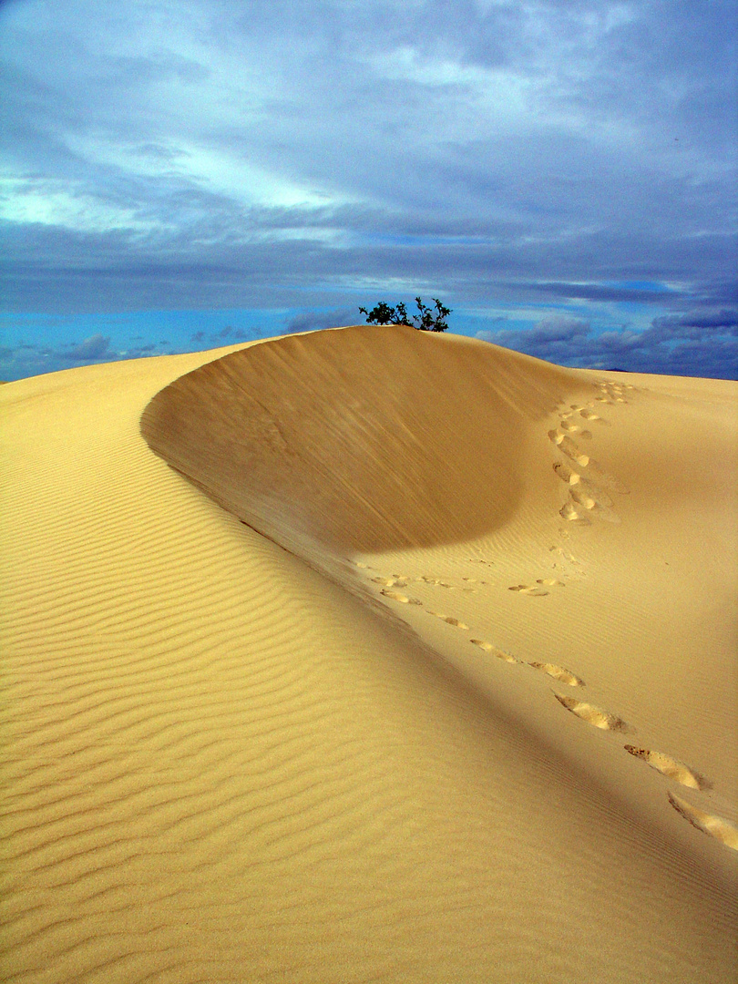 Fuerteventura