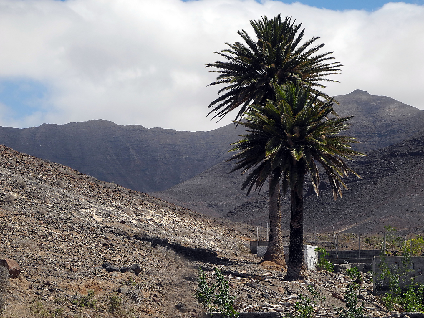 Fuerteventura: Berglandschaft, südlich Morro Jable