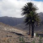 Fuerteventura: Berglandschaft, südlich Morro Jable
