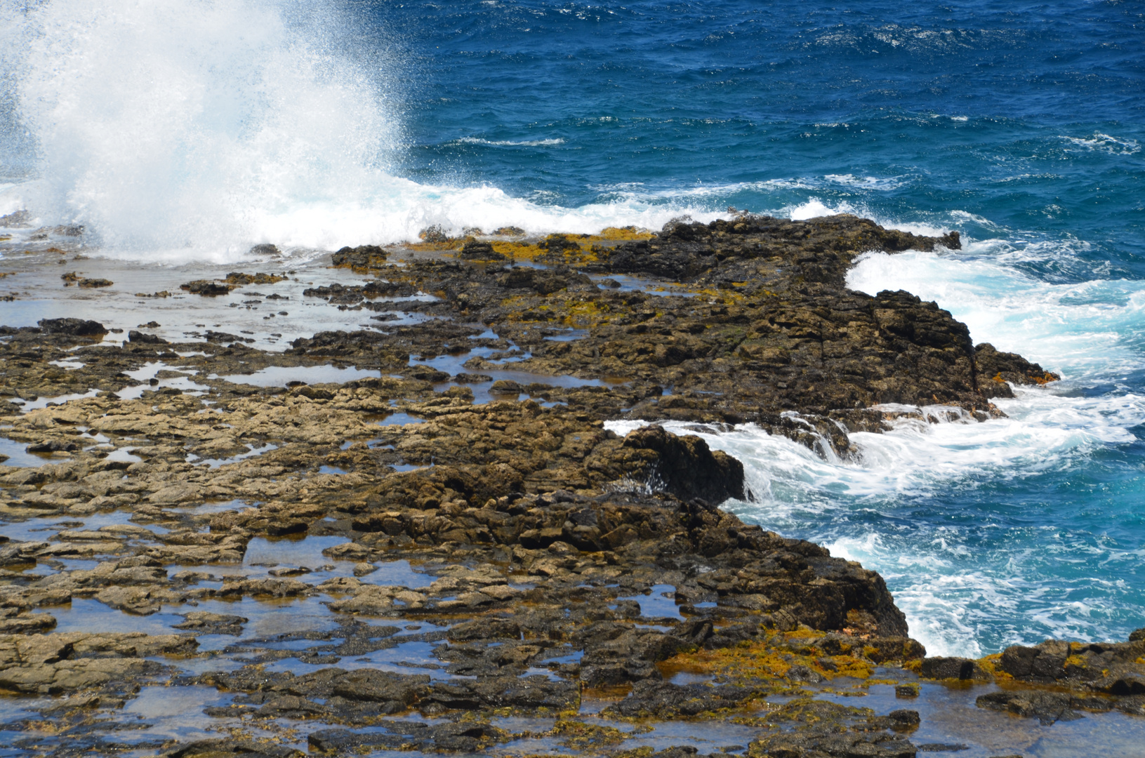 Fuerteventura - Brandung an der Punta de Jandía (August 2014)