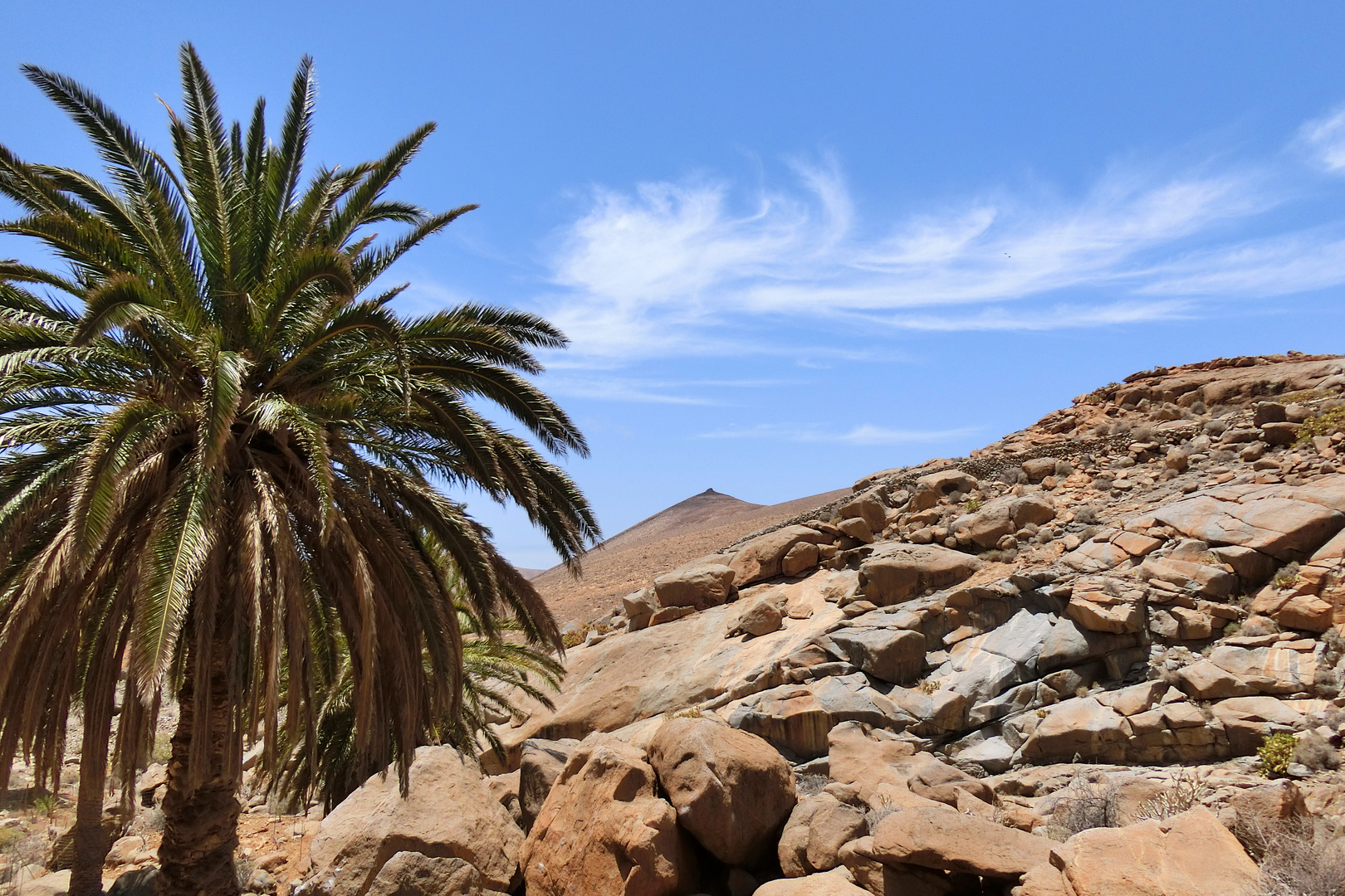 Fuerteventura