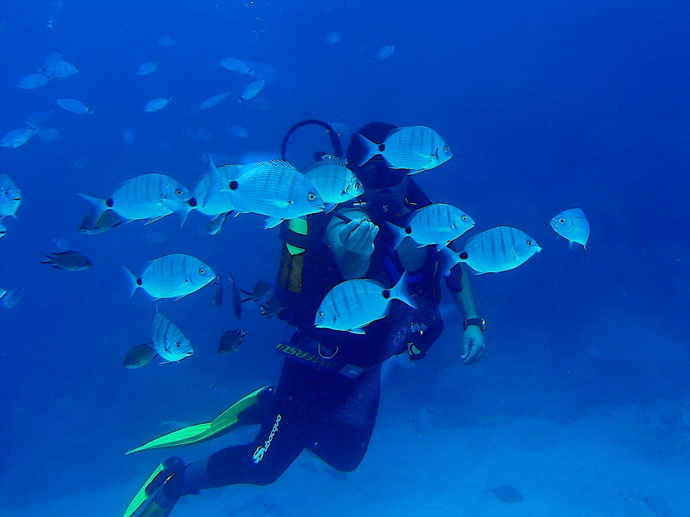 Fuerteventura