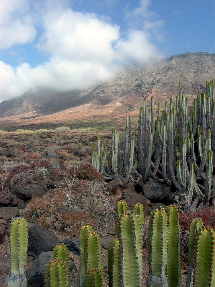 Fuerteventura Cofete- Teil 2