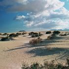 Fuerteventura, Corralejo