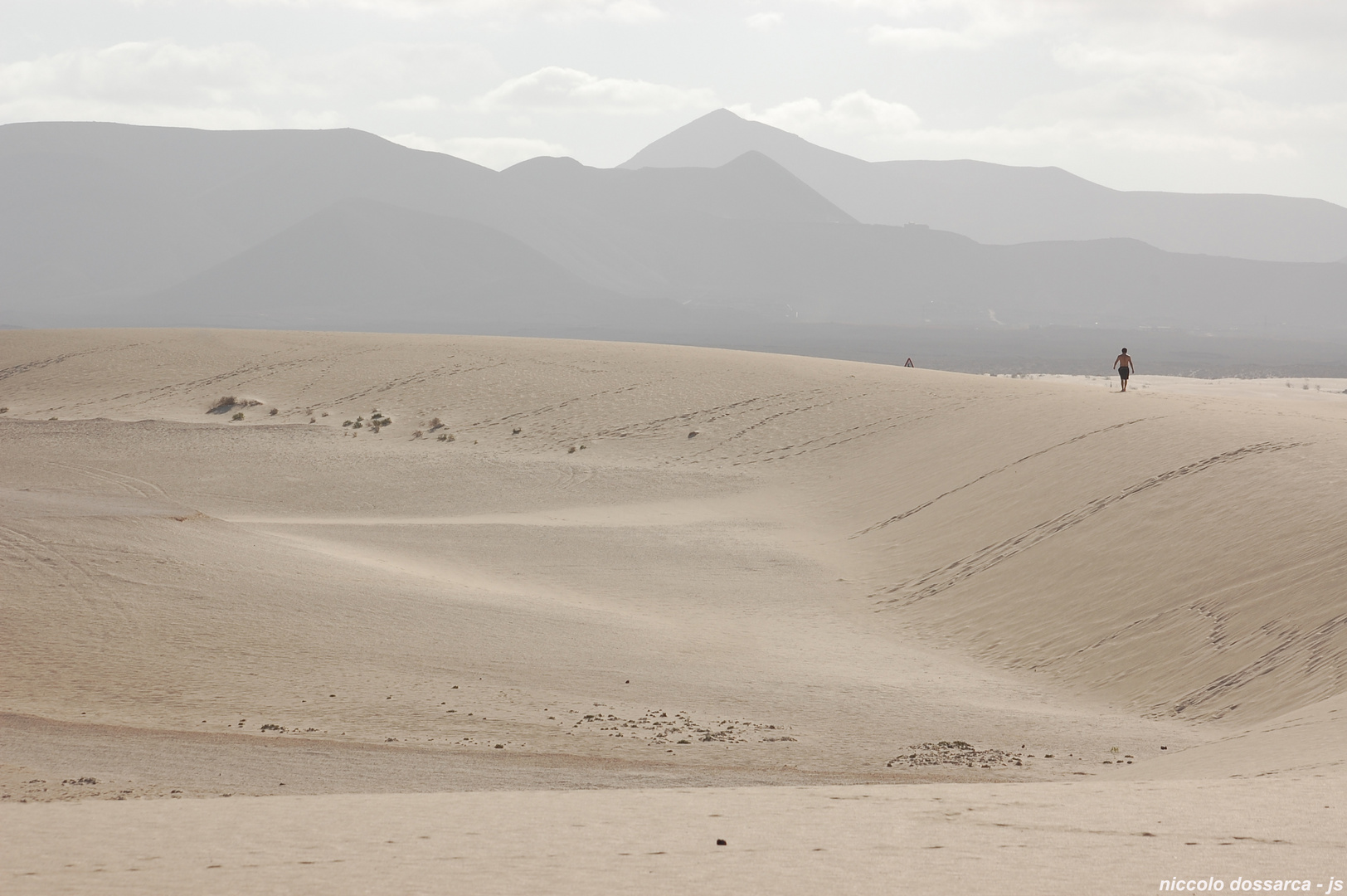 Fuerteventura - Corralejo - parque natural - Sahara-Sand -  Dünen ( D-09 / 2017 )