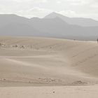 Fuerteventura - Corralejo - parque natural - Sahara-Sand -  Dünen ( D-09 / 2017 )