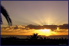 Fuerteventura Costa Calma 1