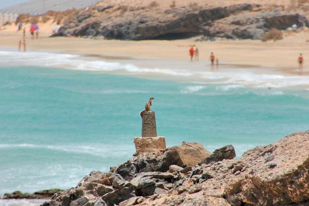 Fuerteventura - Costa Calma Juli 2005