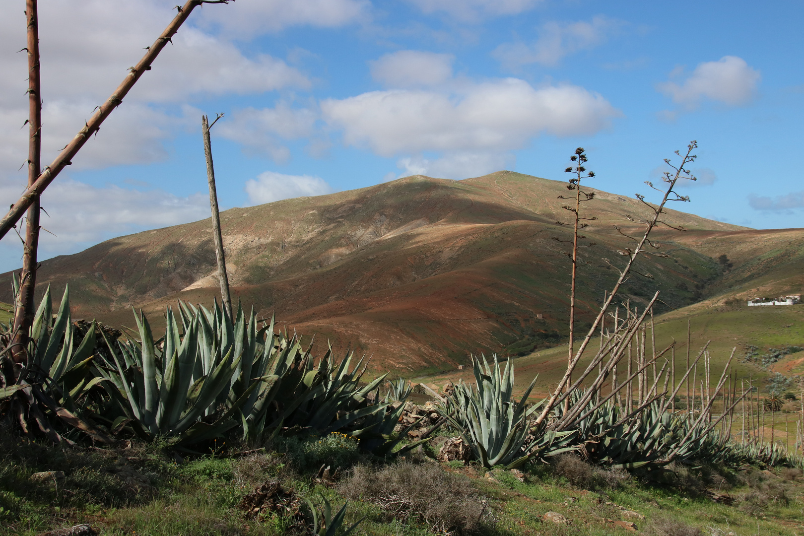 Fuerteventura