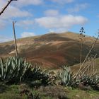 Fuerteventura