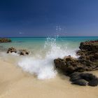 Fuerteventura - Ebbe