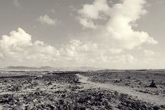 fuerteventura  el cotillo