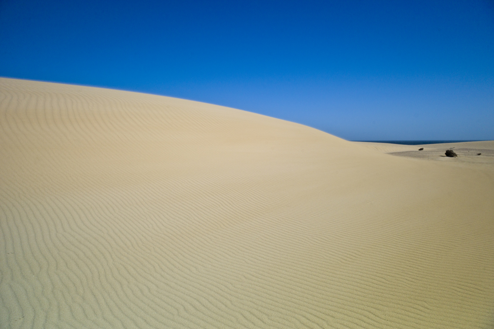 Fuerteventura, España, 2014