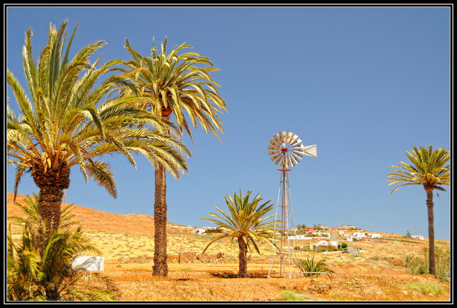 Fuerteventura