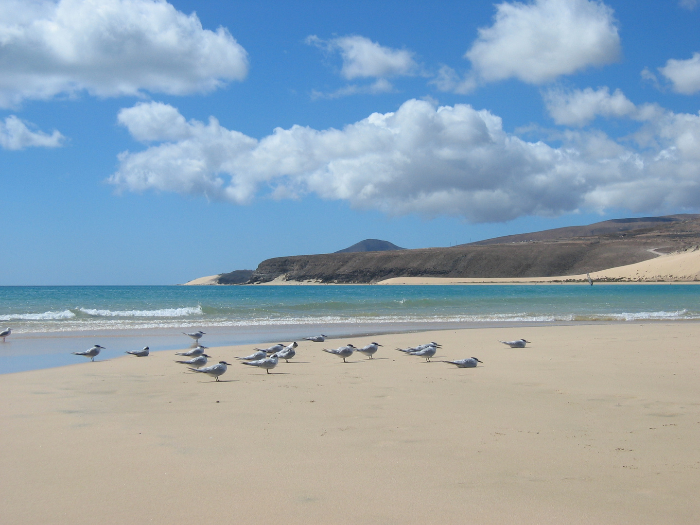 Fuerteventura