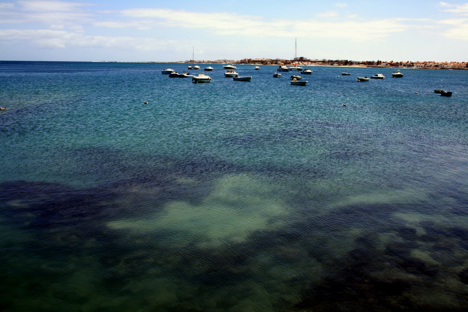 "Fuerteventura"