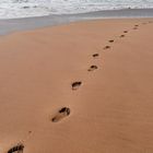 Fuerteventura, Footsteps am Strand von El Cotillo