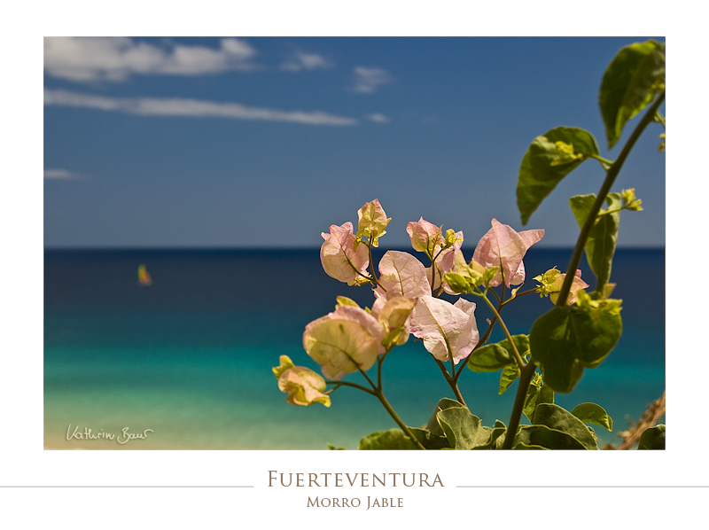 Fuerteventura I