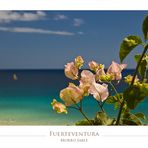 Fuerteventura I