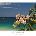 Fuerteventura I