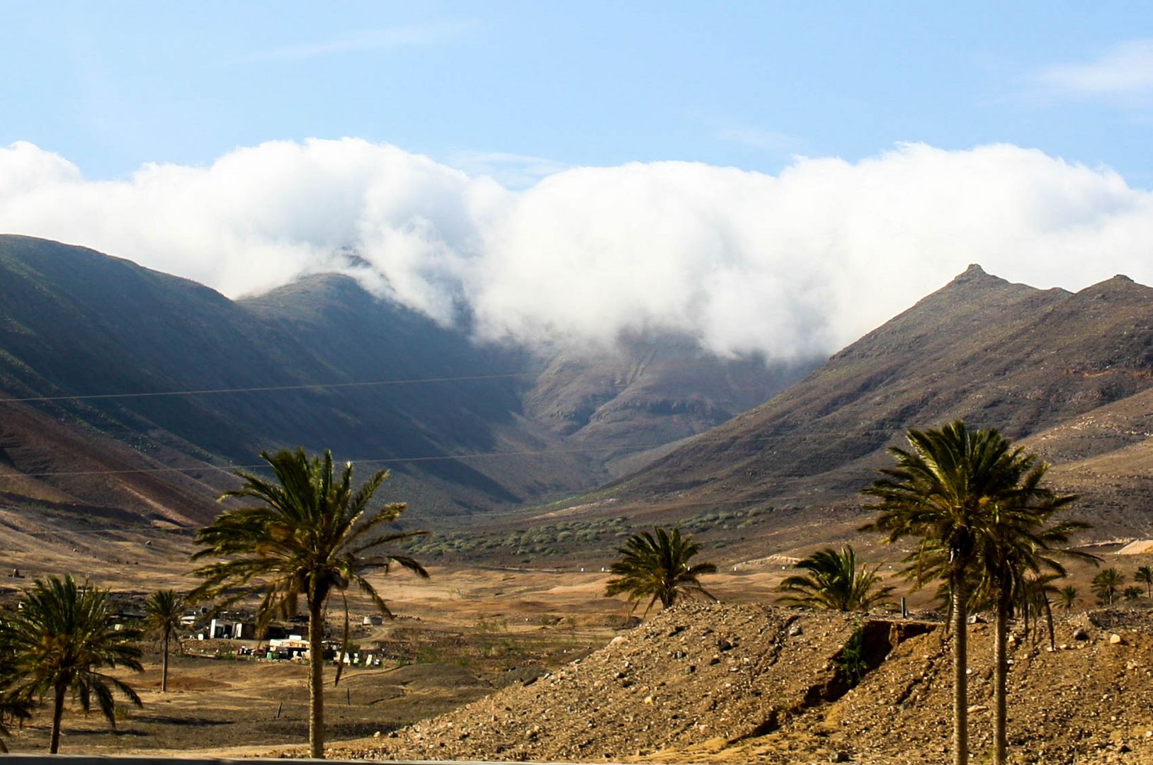 Fuerteventura II