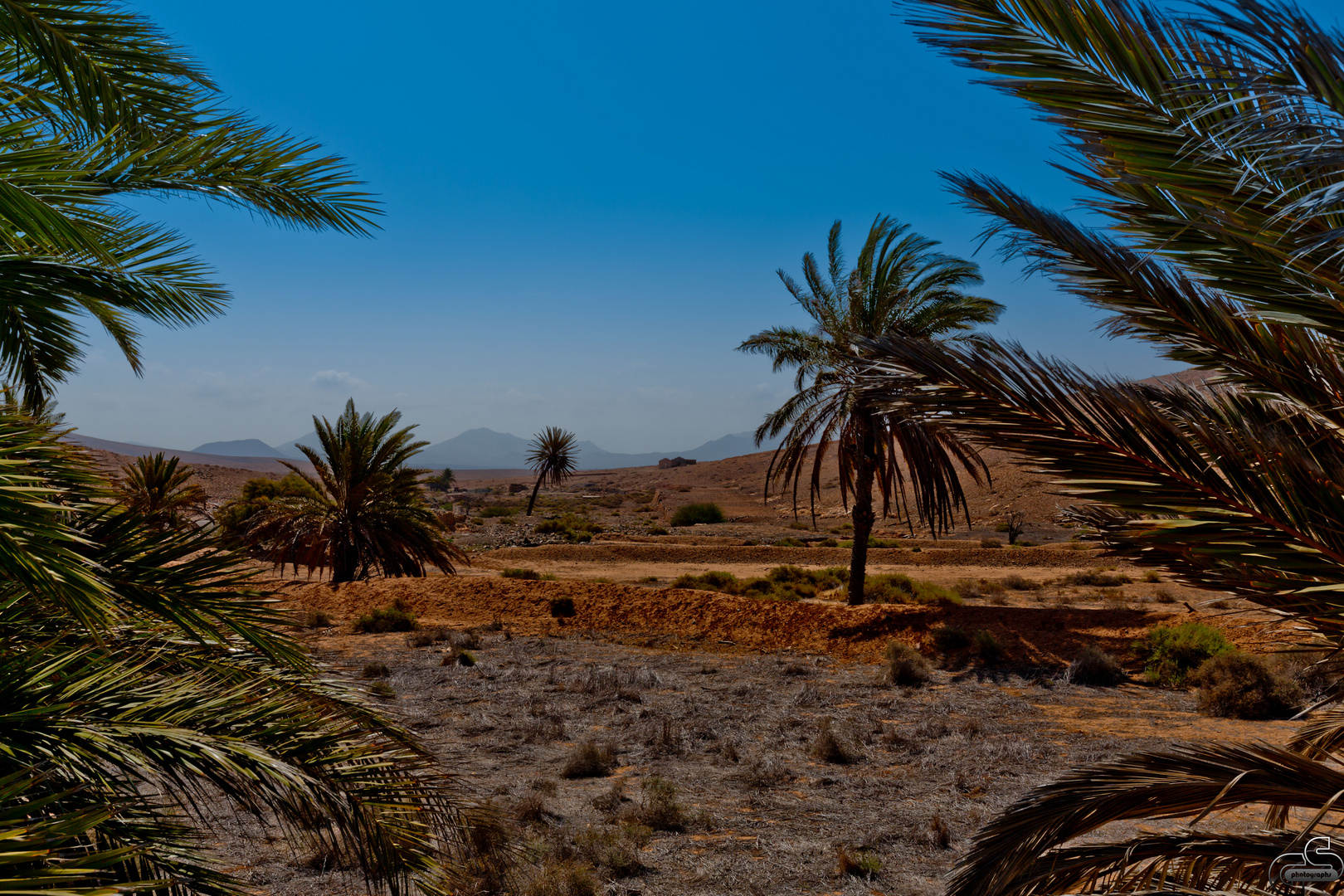 Fuerteventura II