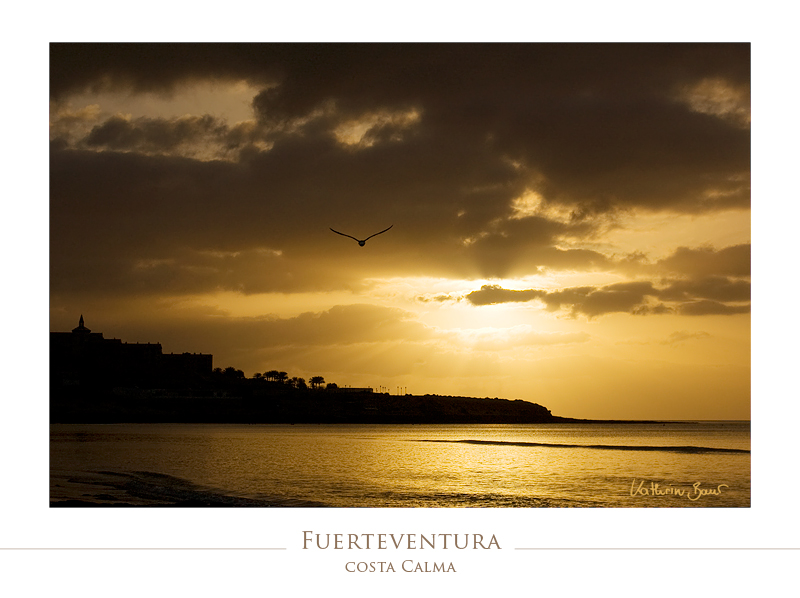 Fuerteventura II