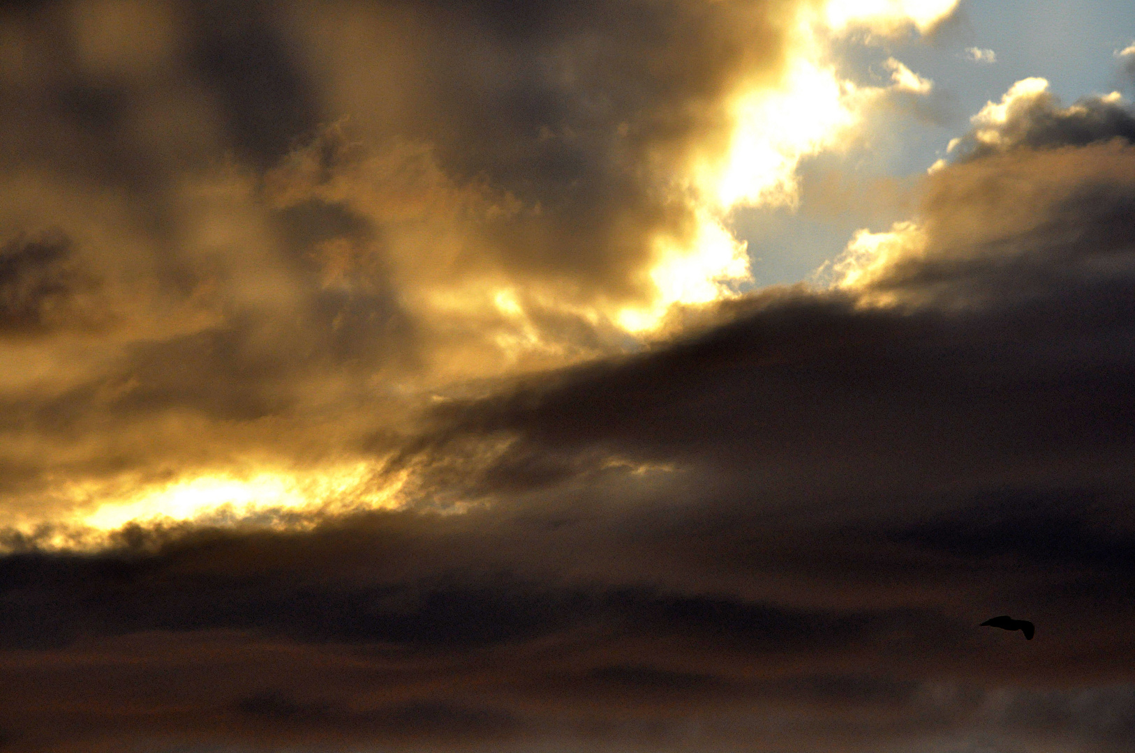 Fuerteventura il cielo