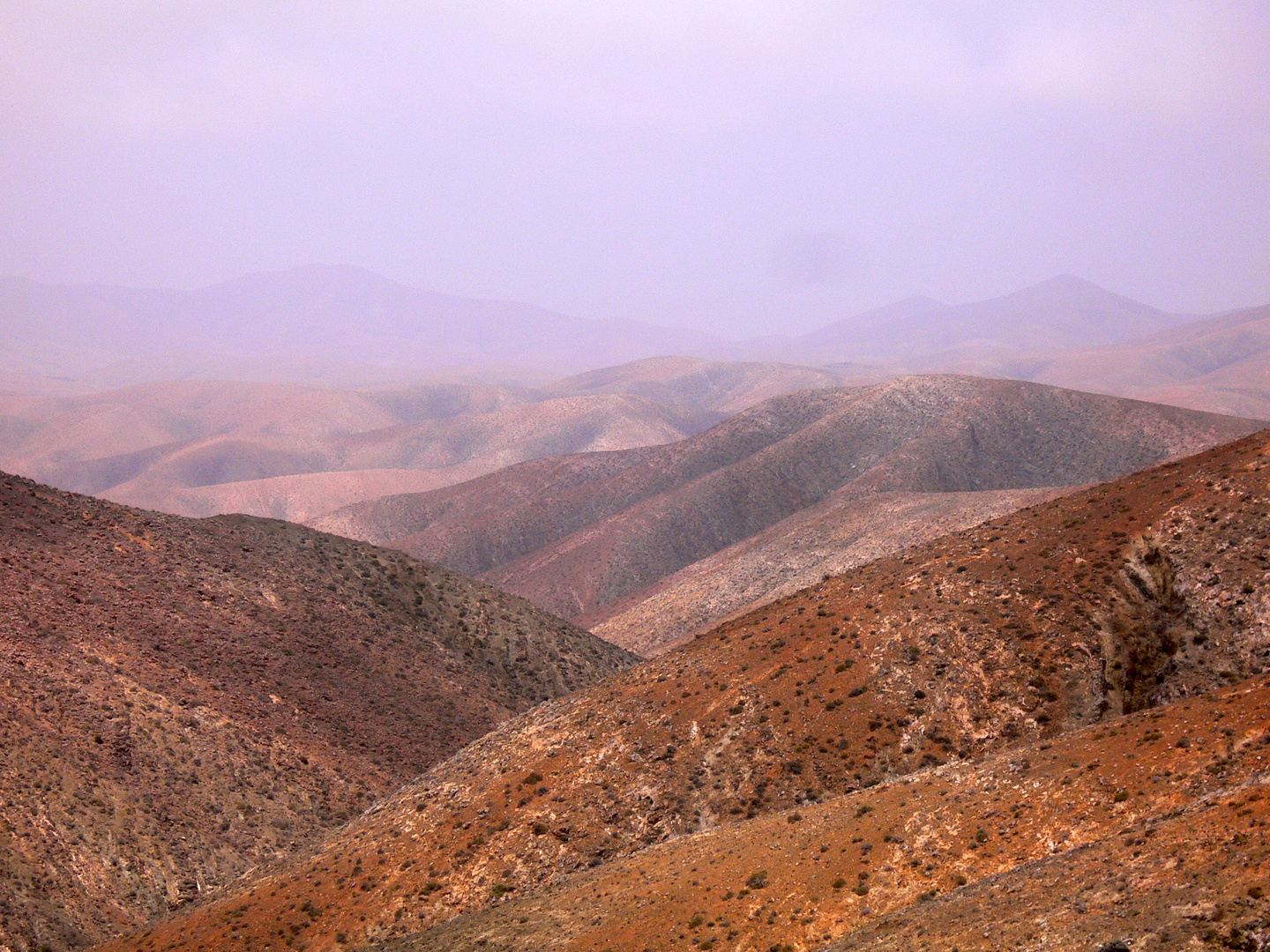 Fuerteventura im Sommer.