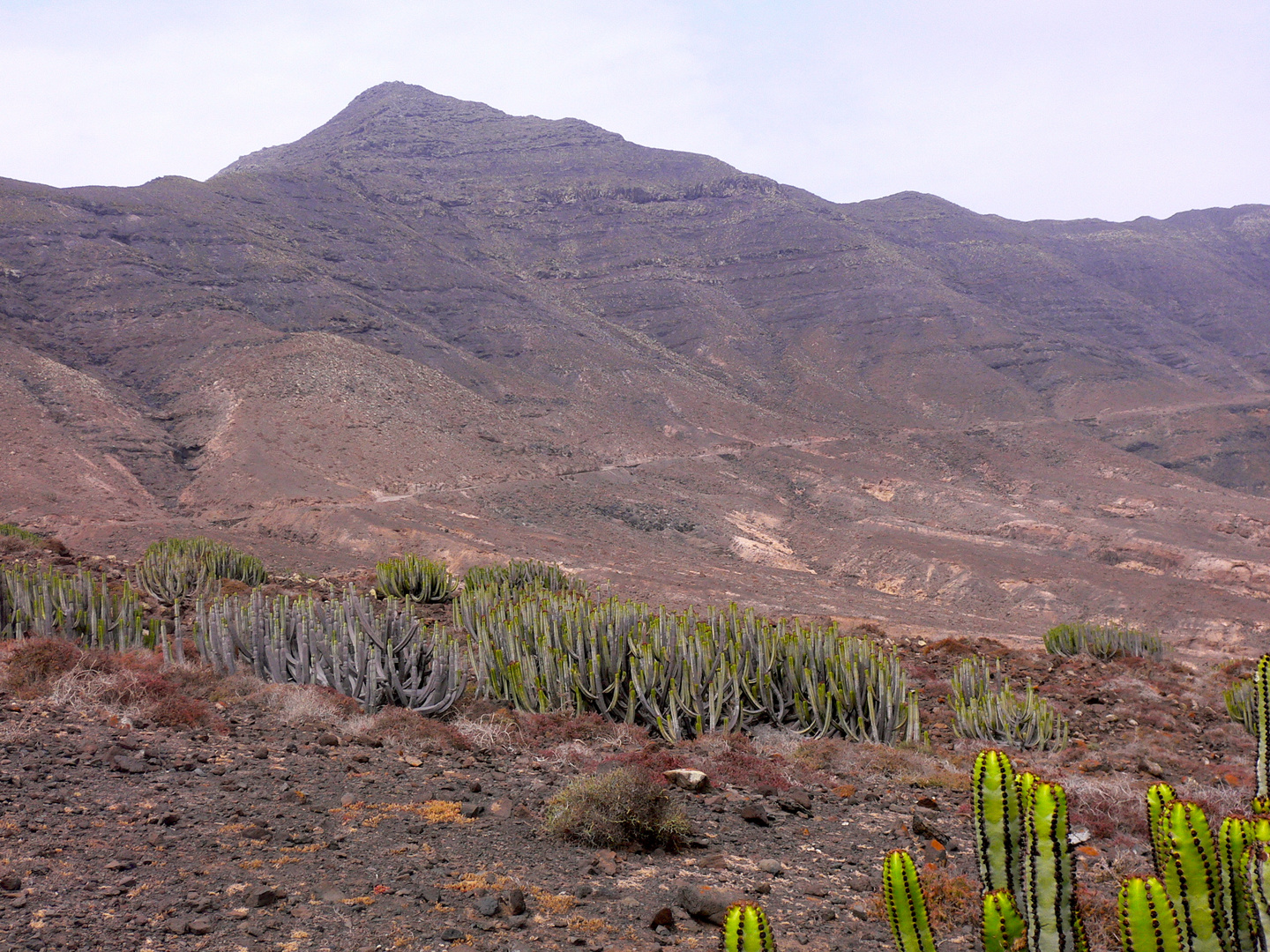 Fuerteventura im Süden.