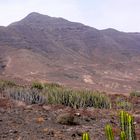 Fuerteventura im Süden.