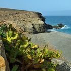 Fuerteventura Impression Juni-Juli 2013 Nr. 26