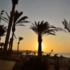Fuerteventura Impression Juni-Juli 2013 Nr. 28. - Costa Calma -