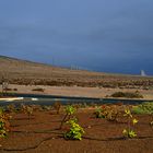 Fuerteventura Impression Juni-Juli 2013 Nr.36. - Costa Calma -