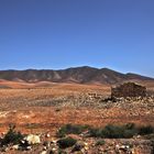 Fuerteventura in unendlicher Vielfalt...