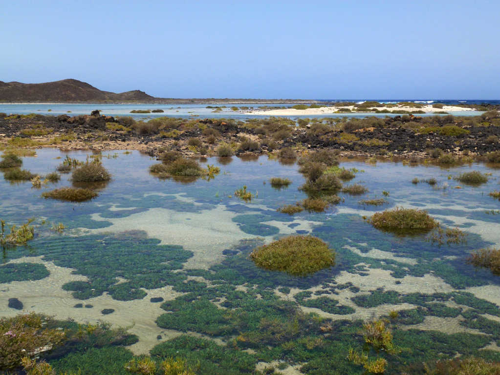 Fuerteventura - Isla de los lobos