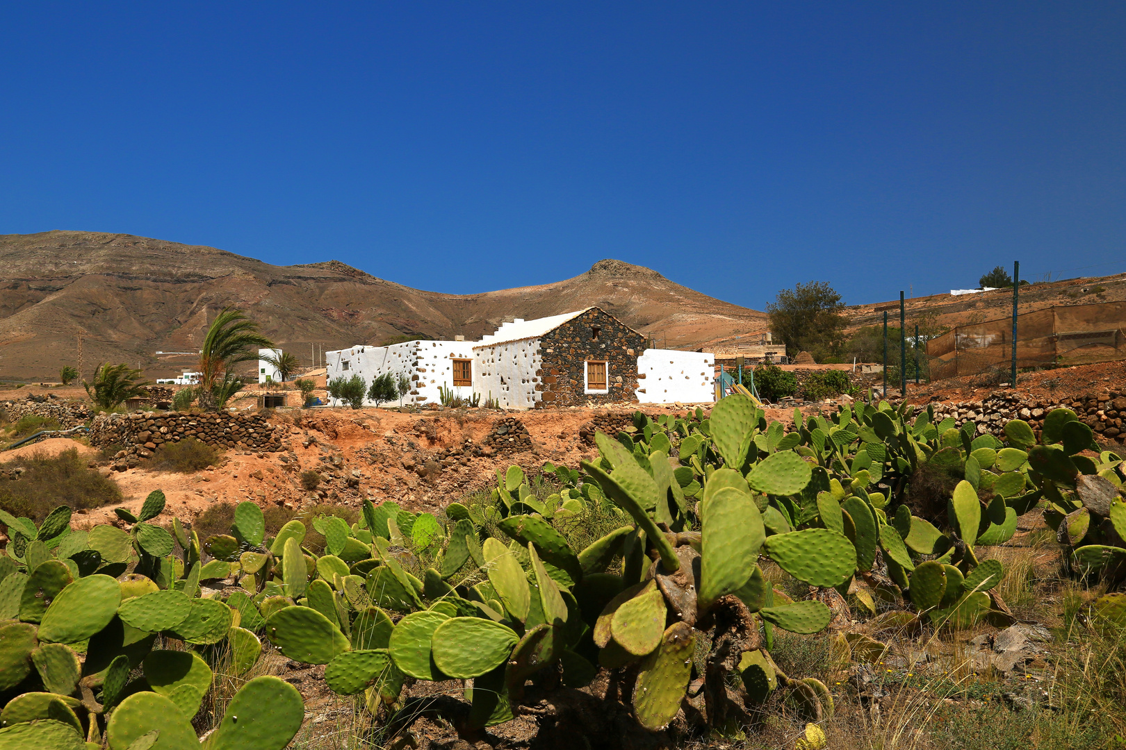 Fuerteventura IV