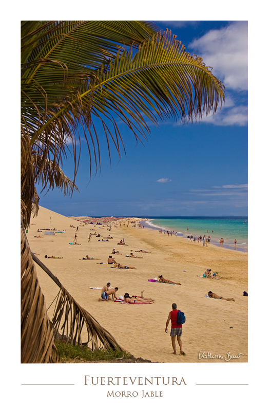 Fuerteventura IV